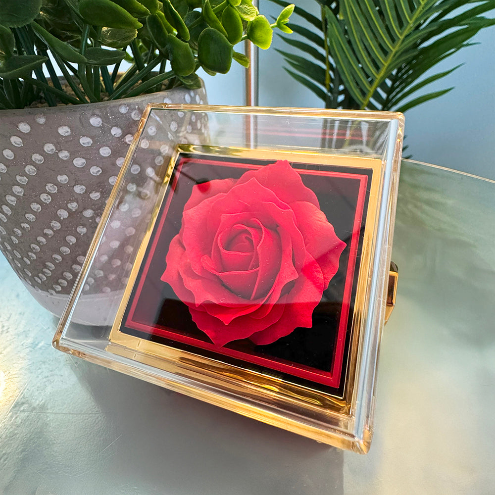 Rotating Rose Box Including Note and Necklace